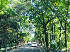 -鼓岭旅游度假区