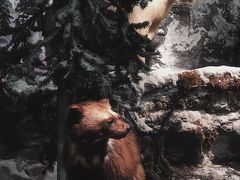 -浙江自然博物院(杭州馆)