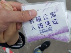 -嘉定紫藤园