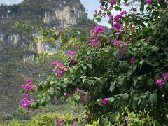 -生态苑农庄(十里画廊遇龙河店)