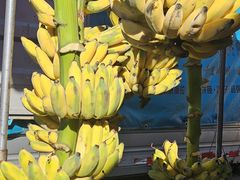 -南坛综合农贸市场