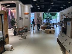 大堂-藏猫猫咖啡主题馆(中央大道店)