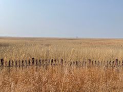 -野鸭湖国家湿地公园