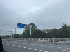 -合肥滨湖国家森林公园