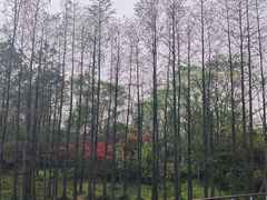 -长广溪湿地公园