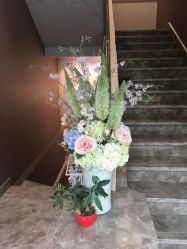 -佐登妮丝美容SPA生活馆