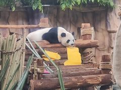 -泉州海丝野生动物世界