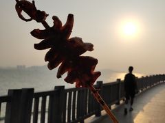 -胡里山炮台