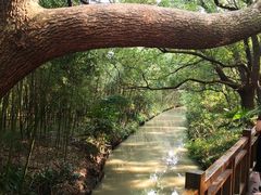-同里国家湿地公园
