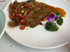 -楚鱼王·河鲜·湖北菜(华农店)