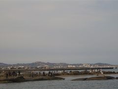 -日照灯塔风景区