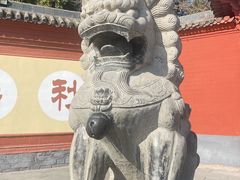 -洛阳白马寺