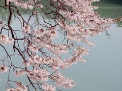 -红星桥(地铁站)