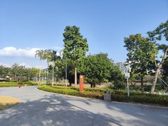 -宝安西湾红树林湿地公园