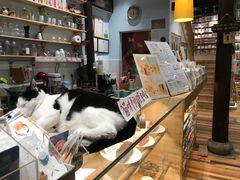 -猫的天空之城概念书店(杭州南宋御街店)