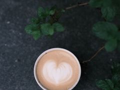 -Again Coffee Roaster(香蜜湖店)