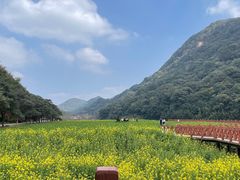 -广州市石门国家森林公园