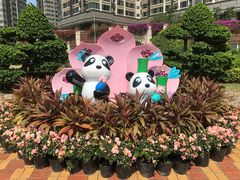 -石排湾郊野公园