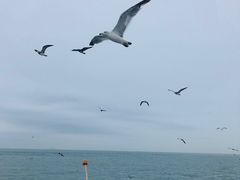 -海驴岛(荣成市)