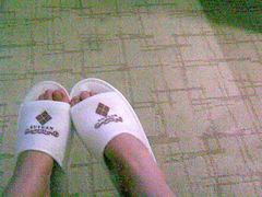 拖鞋-苏苑饭店-中餐厅(长桥地区店)