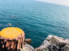 -广东惠东海龟国家级自然保护区