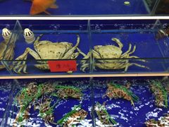青年公社海鲜城-海鲜城大家餐厅