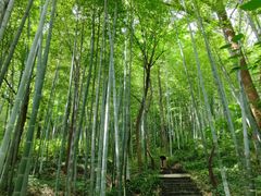 -南山风景名胜区