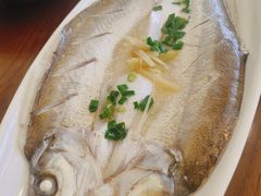 清蒸白鱼-品鲜村农家菜·阳澄湖大闸蟹(总店)