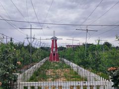 -意大利农场度假村