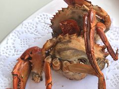 -鑫悦楼煎蟹·16年海鲜大排档