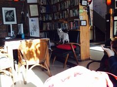 北方国际青年旅舍-哈尔滨北方国际青年旅舍(中央大街店)