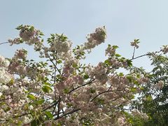 -终南山南五台景区