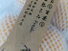-菊园百果园