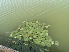 -野鸭湖国家湿地公园