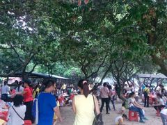 野外自助烧烤+野炊-荔枝园美食山庄(贞山风景区店)
