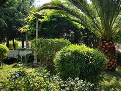 -洱海月湿地公园