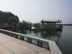-贡湖湾湿地公园