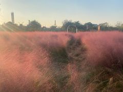 -祥源·阜阳生态乐园