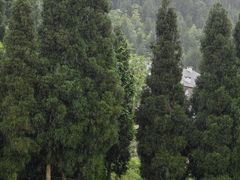 -武陵山森林公园