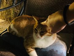 -厦门良筑精品酒店(厦门中山路店)