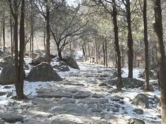 -阳台山自然风景区