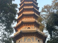 -灵谷景区