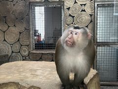 -黔灵山公园