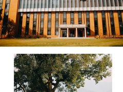 -东钱湖旅游度假区