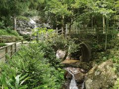-东天目山风景区