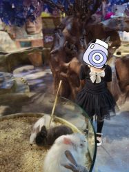 -奇幻萌宠部落(映月湖环宇城店)