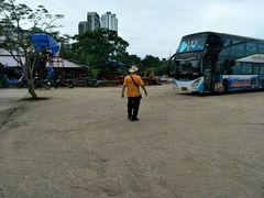 -春秋旅游航空(西藏路分部)