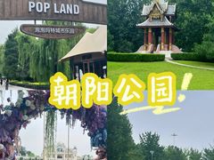 -朝阳公园游乐园