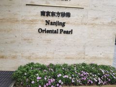 -南京东方珍珠voco酒店
