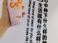 -CoCo都可(大石万民城店)